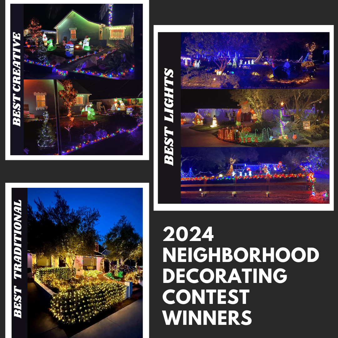 2024 Winners- Website